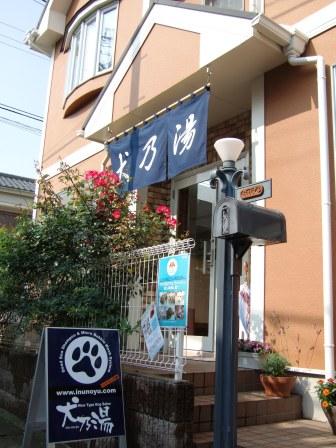 のれんが目印です。最近建物の外壁を塗り替えました。今はブリティッシュグリーンです。