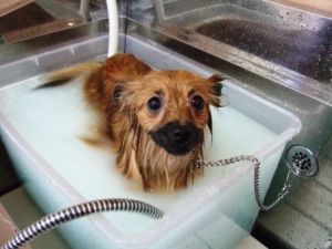 ここ、大事なとこだよ。