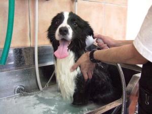 からだがホカホカしてきたよ。