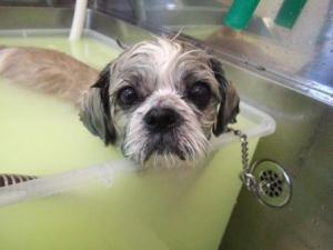 見られてると緊張しちゃうな。