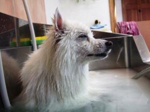 う～ん、極楽だね。